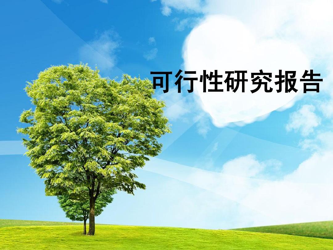 項(xiàng)目可行性研究